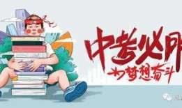 三亚租车爆料事件最新消息,最新进展揭秘，真相大白！